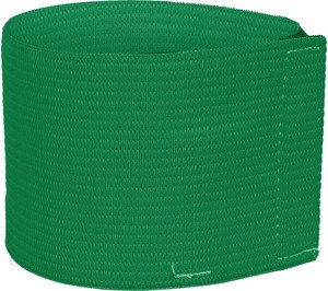 ProAct PA679 - ELASTIC ARMBAND Green