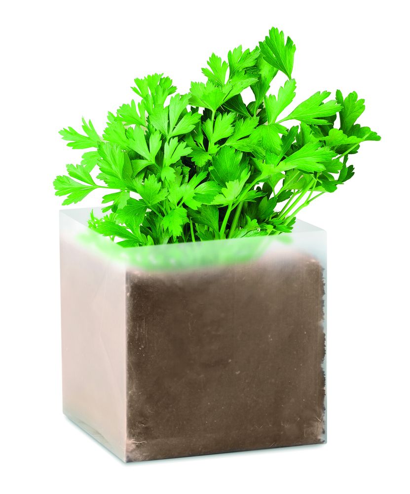 GiftRetail MO9547 - PARSELY Compost with seeds "PARSLEY"