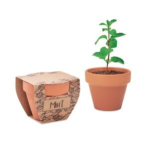 GiftRetail MO2218 - MINT POT Terracotta pot mint seeds Wood