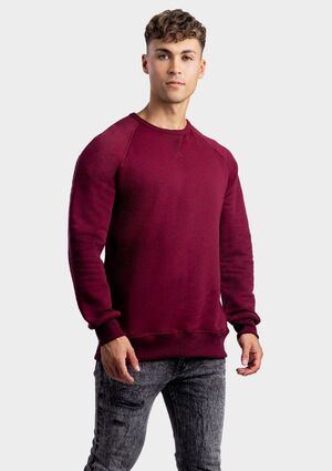 Lemon & Soda LEM3229 - Heavy Sweater Raglan Crewneck for him